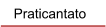 Praticantato
