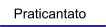 Praticantato